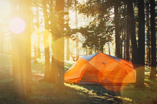 campsites vancouver island