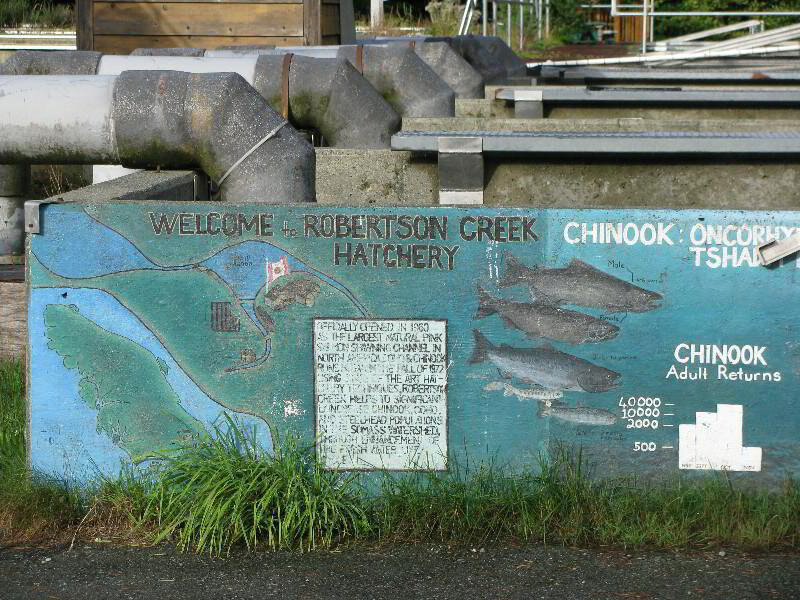 Robertson Creek Hatchery self guided tour sign
