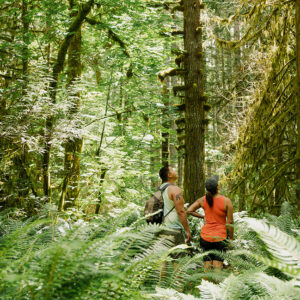forest bathing vancouver island new year wellness