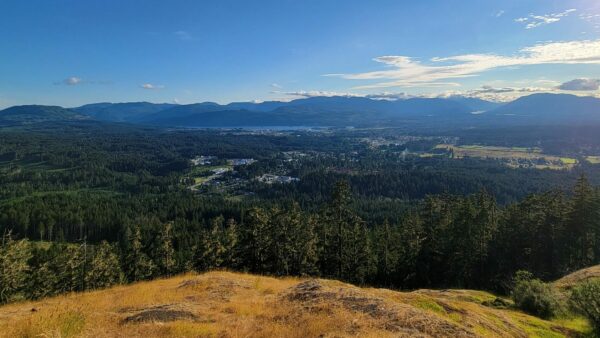 A view from the top of Alberni Forestry Loop.