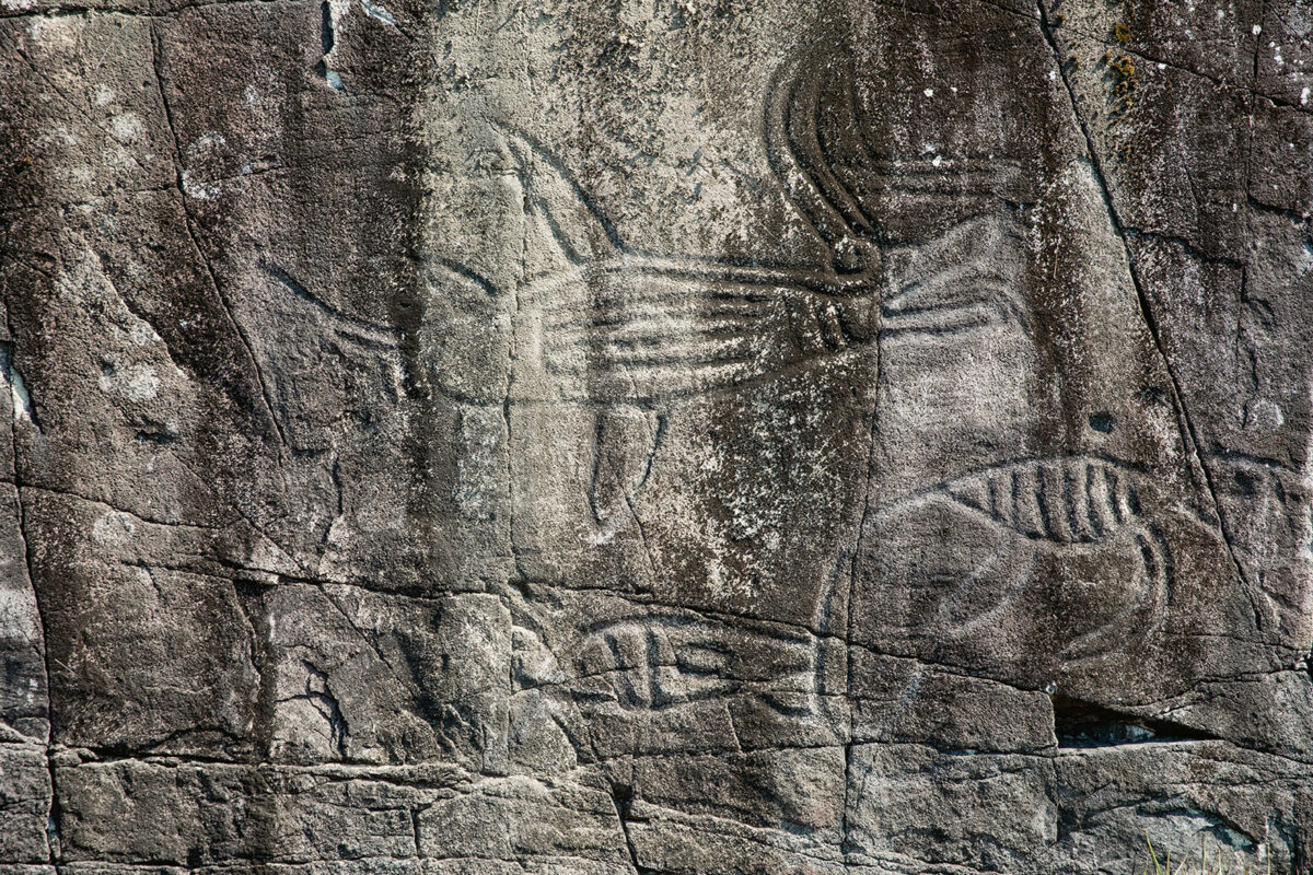 petroglyphs Sproat Lake Vancouver Island