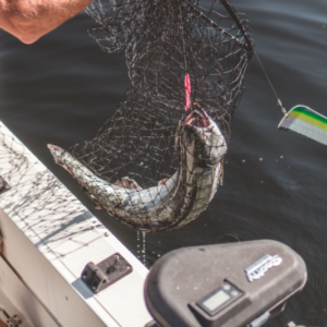best fishing BC in Port Alberni, Vancouver Island