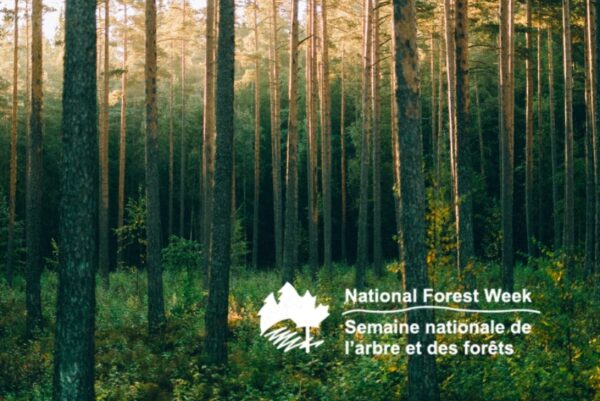 National Forest Week 2023 in the Alberni Valley
