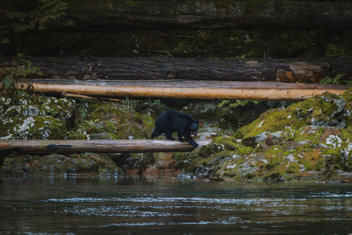 Port Alberni Vancouver Island