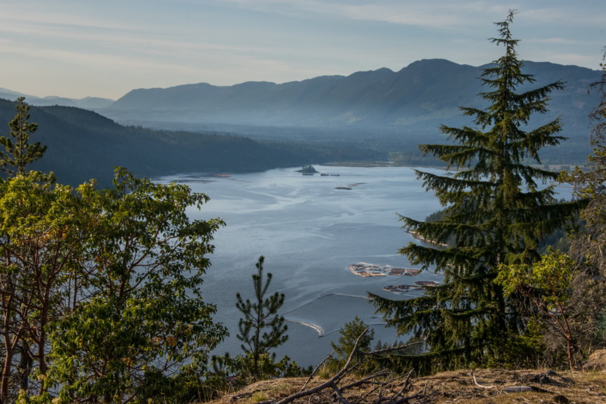 Beautiful view of the Alberni Inlet from the Alberni Inlet Trail.