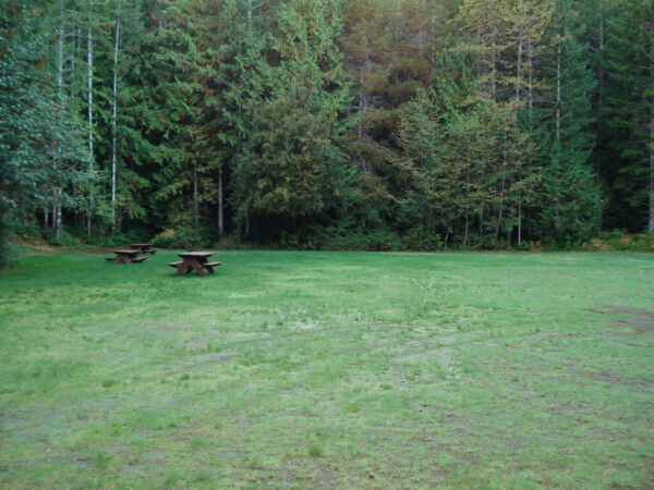 Taylor Arm Provincial Park - Group Camping in the Alberni Valley