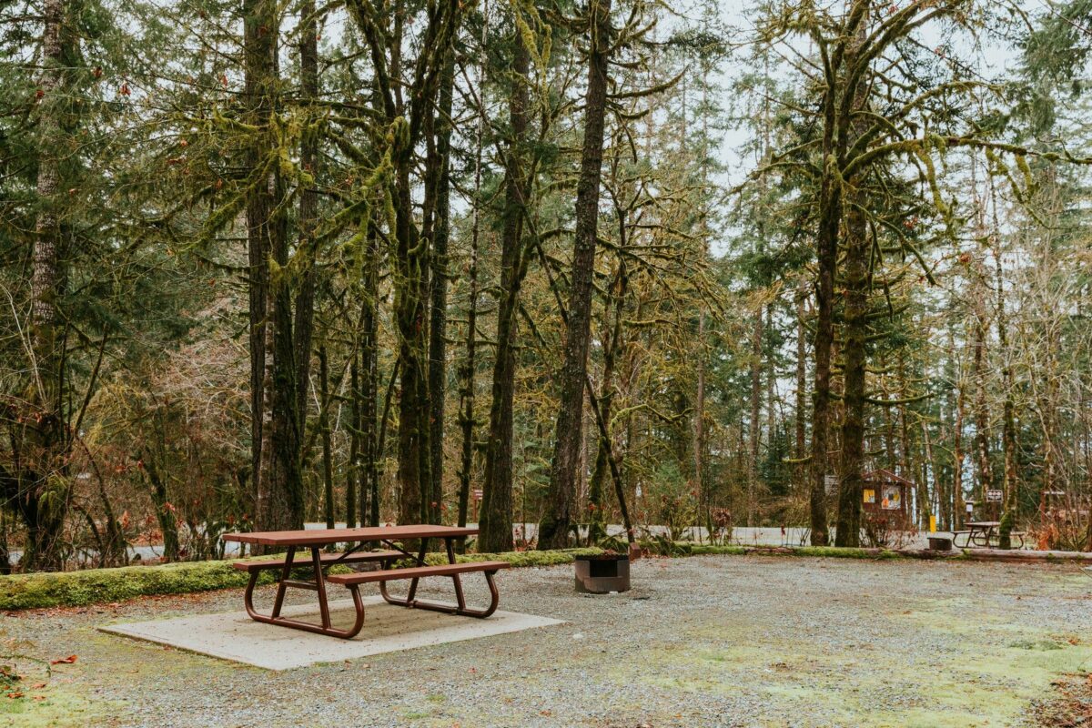 Campsite view at Sproat Lake Provincial Park Campsite, in Port Alberni, Alberni Valley, Vancouver Island