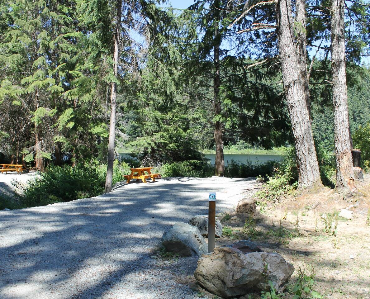 Loon Lake Campsite near Port Alberni with forested camping sites and lakeside setting