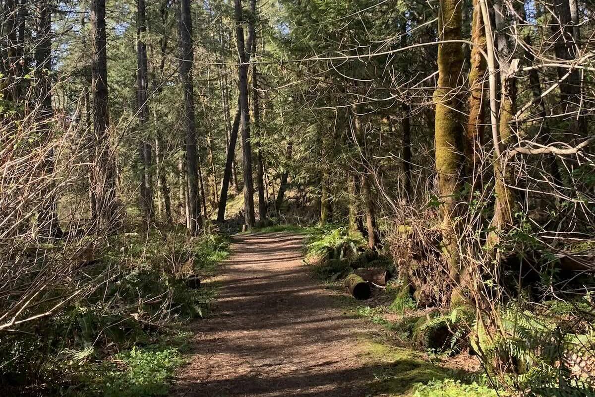 A view of Cherry Creek Trail biking path in Cherry Creek, Alberni Valley