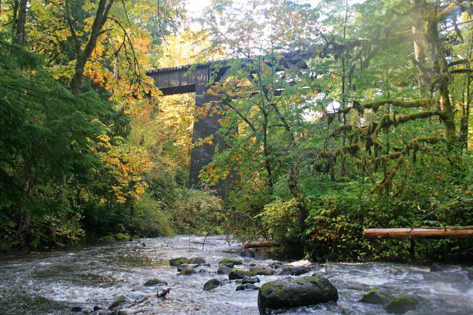 Creek flowing under a wooden trestle bridge surrounded by fall foliage in Port Alberni, BC.