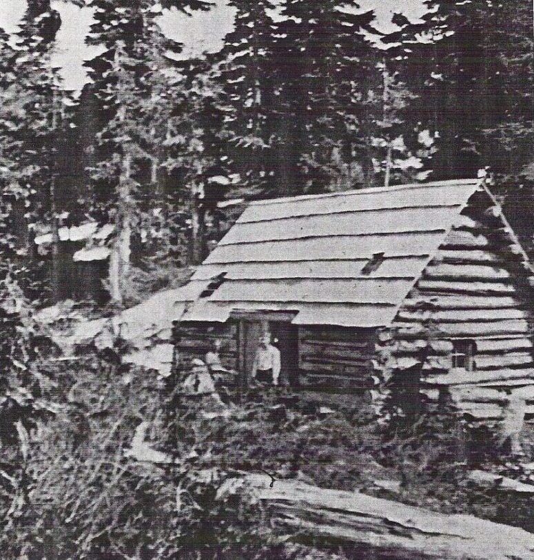 Cokely Cabin along the CPR Trail near Cameron Lake used by early Mount Arrowsmith climbers