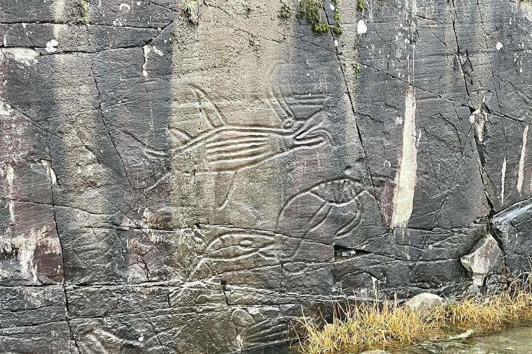 K’aka’win petroglyphs near Sproat Lake carved into rock face