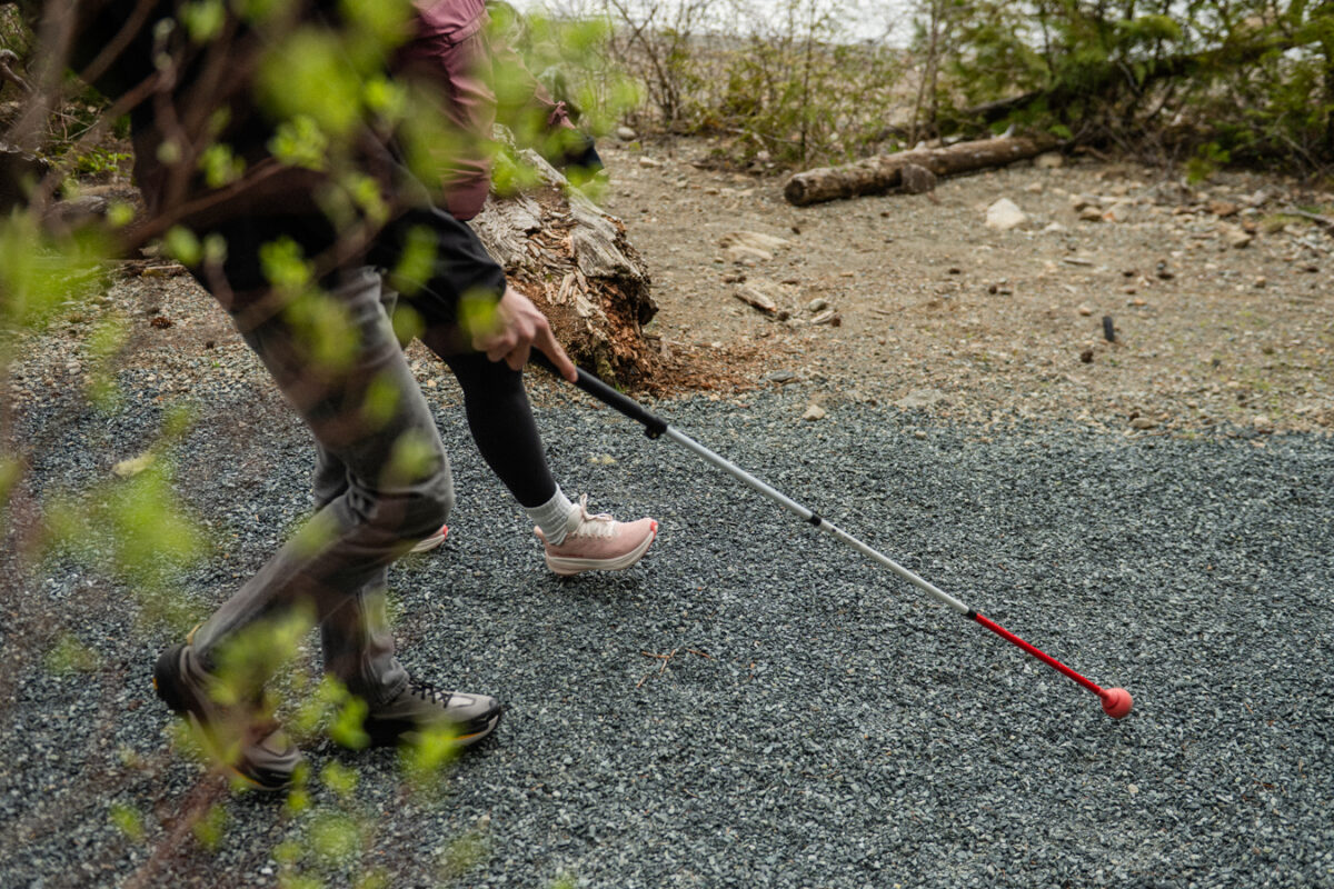 Wide gravel trail through a forested area, leading toward the lake.