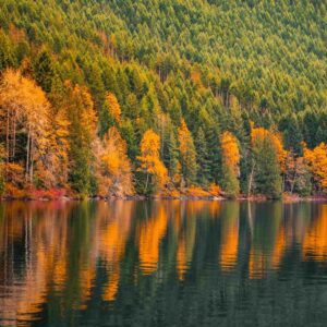 Autumn foliage reflected in the water in the Alberni Valley