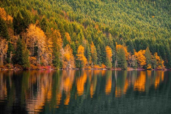 Autumn foliage reflected in the water in the Alberni Valley