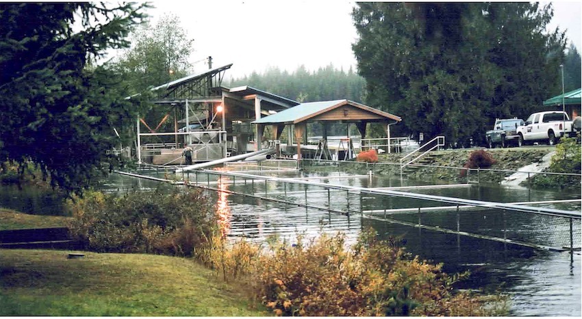 Salmon rearing ponds and facilities at Robertson Creek Hatchery near Port Alberni