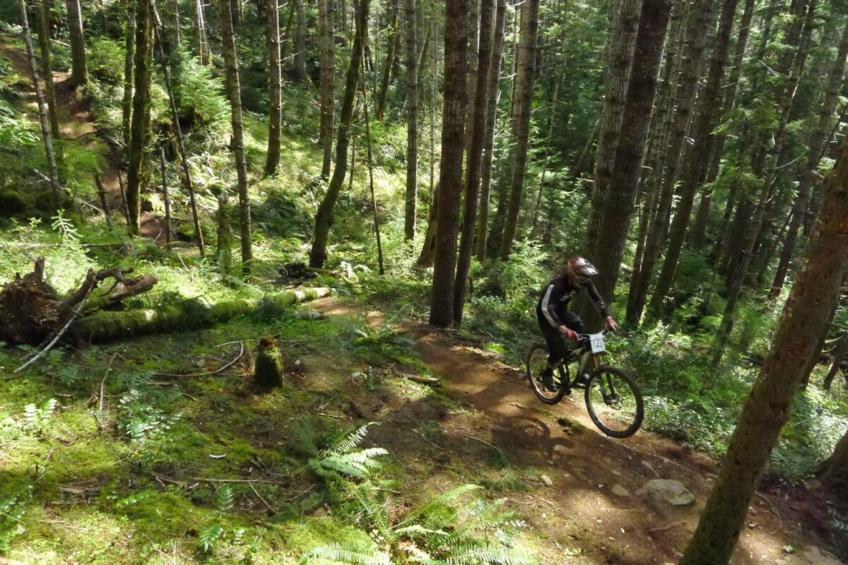 Mountain biker riding Fir Baby Trail through the forest in Port Alberni