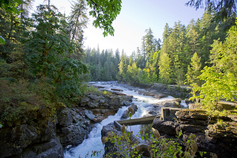 Fish ladder beside Stamp Falls on the Stamp River near Port Alberni